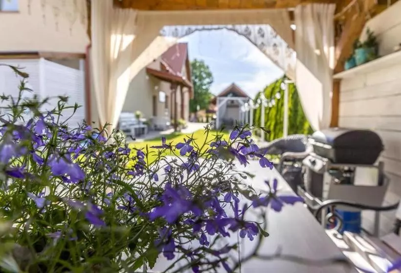 پانسیون Apartementy   Weranda   Z Ogrodem W Centrum