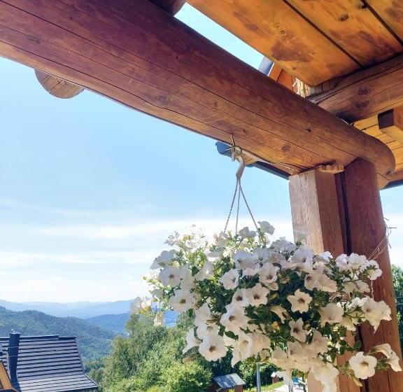 بنسيون żaroowka