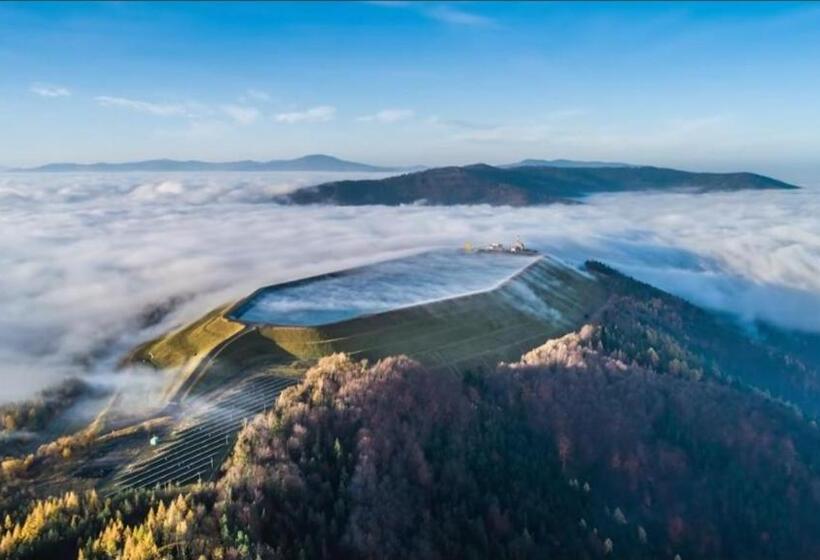 بنسيون żaroowka