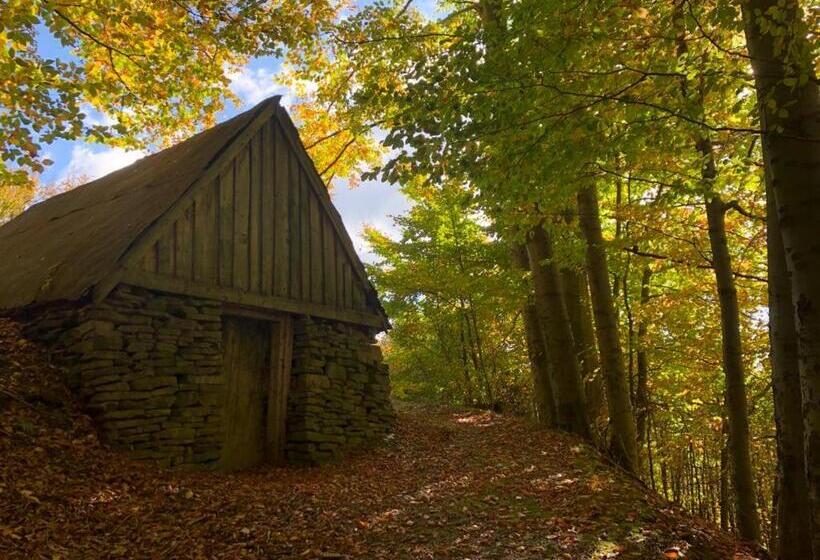 بنسيون żaroowka