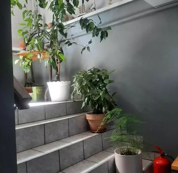 ペンション Pokoje Gościnne Cuma
