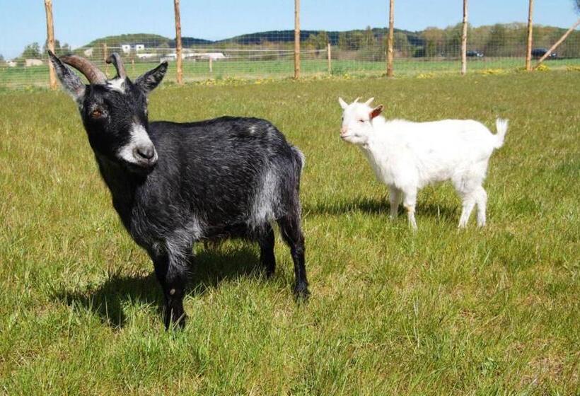 ベッドアンドブレックファースト Dom Grinholc