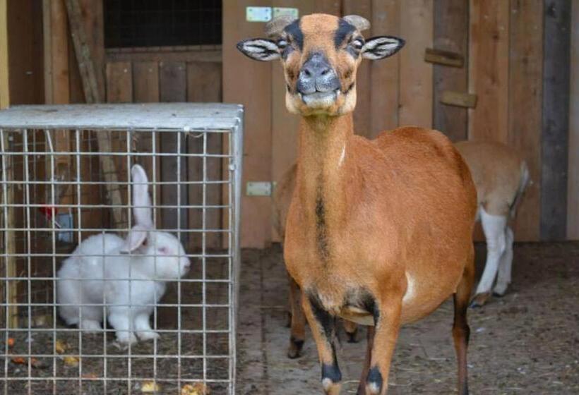 ベッドアンドブレックファースト Dom Grinholc