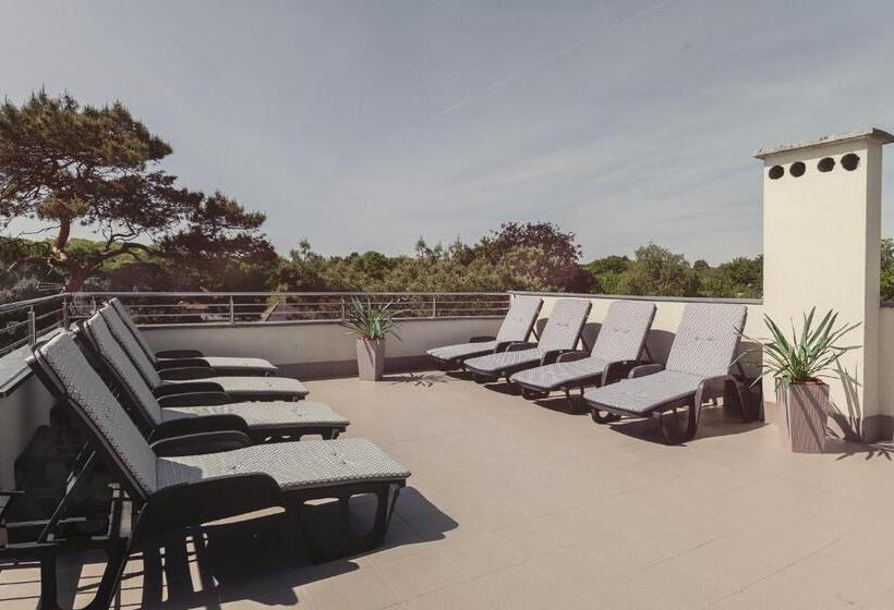 تختخواب و صبحانه Harmony House