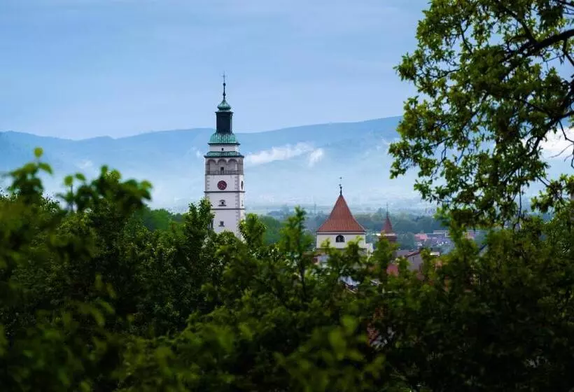 Aamiaismajoitus (B&B) Zajazd Izabela