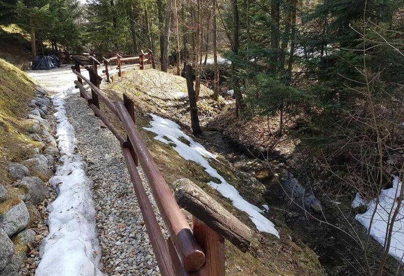 Butorowy Residence Apartament Górska Orchidea