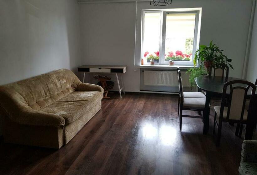 Отель Dom Prywatny