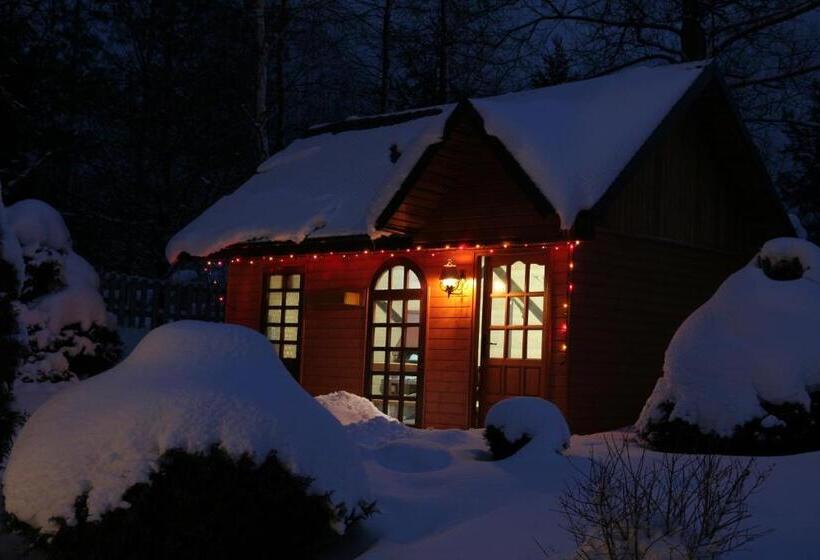 ホテル Noclegi U Kiesza