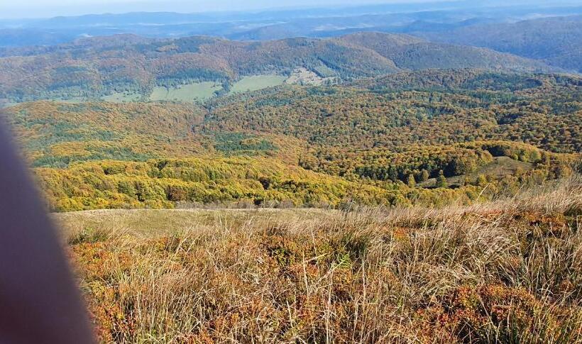 ホテル Noclegi U Kiesza