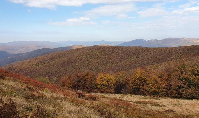 ホテル Noclegi U Kiesza