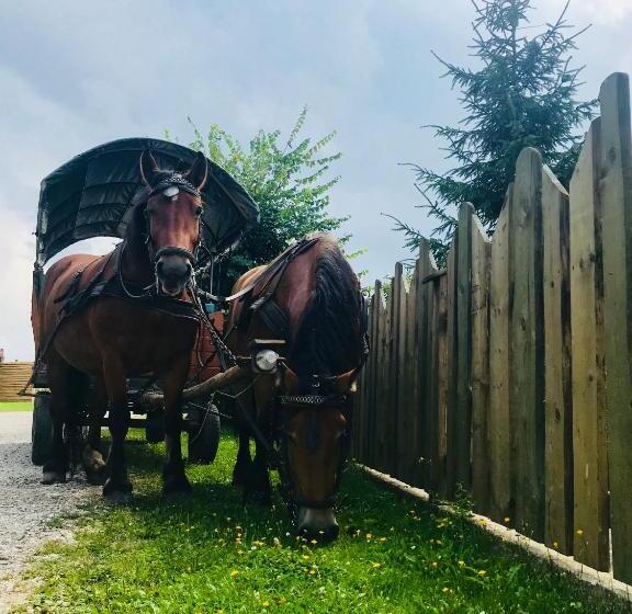 Отель Ranczo W Dolinie