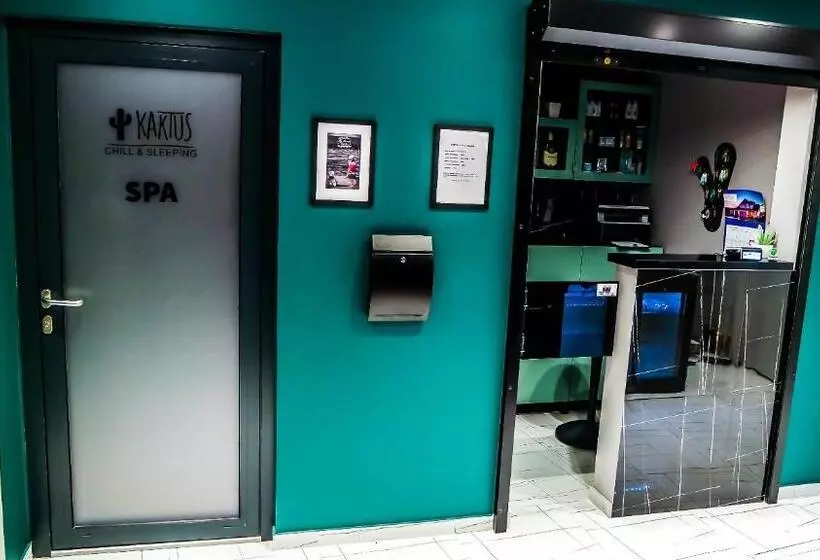 Kaktus Chill & Sleeping   50 M Od Rynku