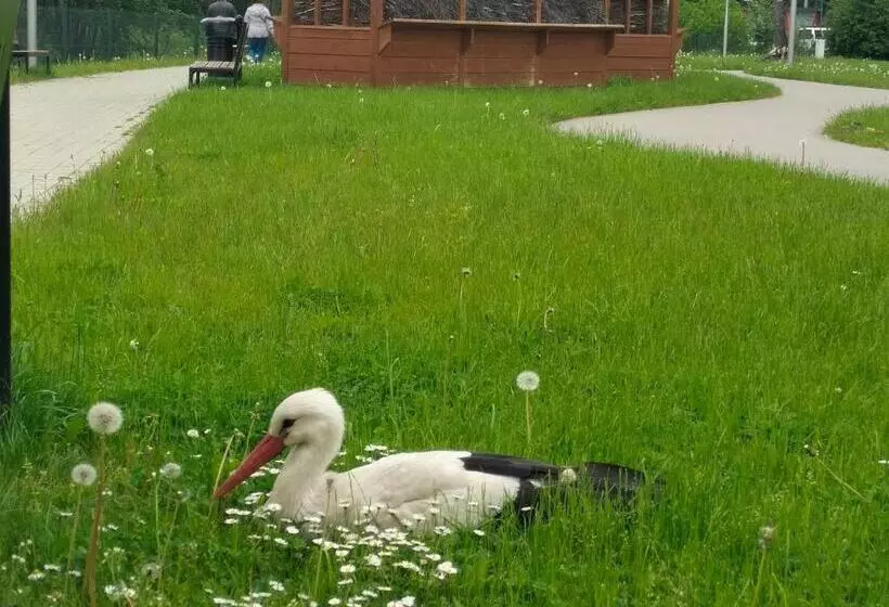 پانسیون Parkowa Rezydencja Hubal