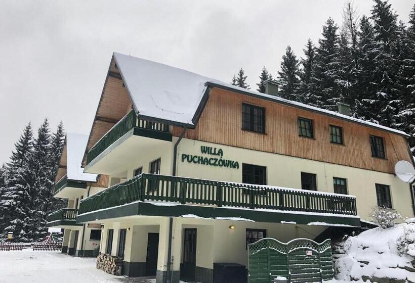 펜션 Willa Puchaczówka