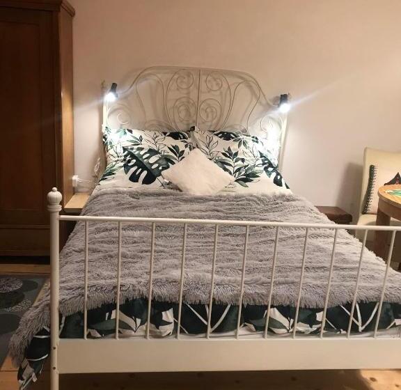 Willa Jasna Apartamenty Centrum Zakopane