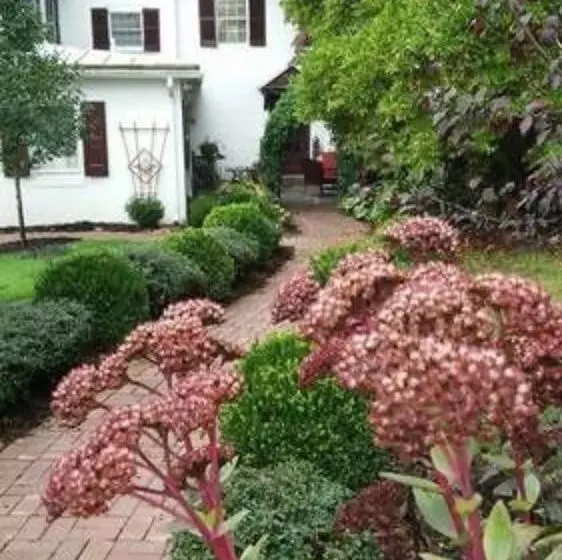 住宿加早餐  1777 Americana Inn