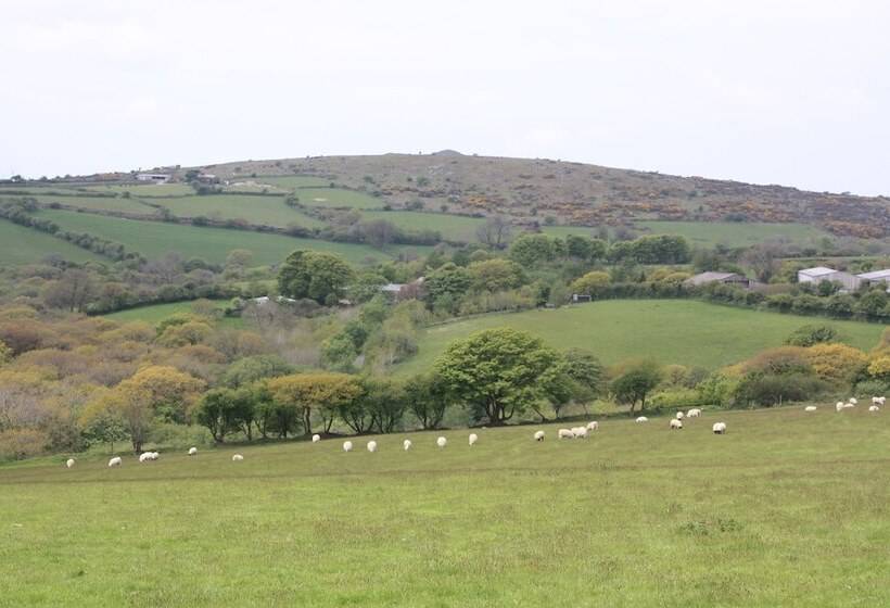 Bed and Breakfast Mennabroom