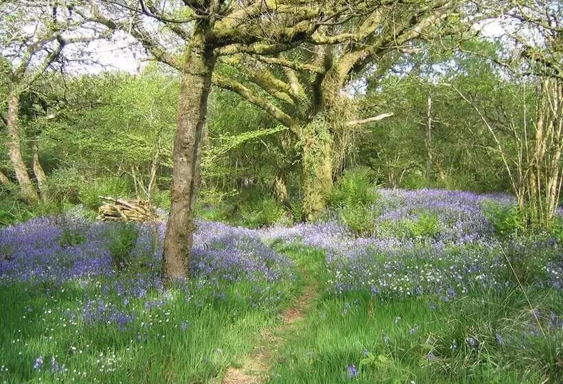 Bed and Breakfast Mennabroom