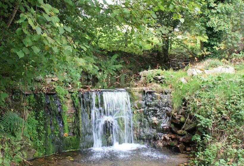 Bed and Breakfast Mennabroom