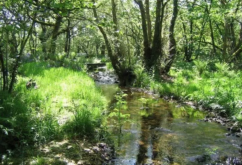 Bed and Breakfast Mennabroom