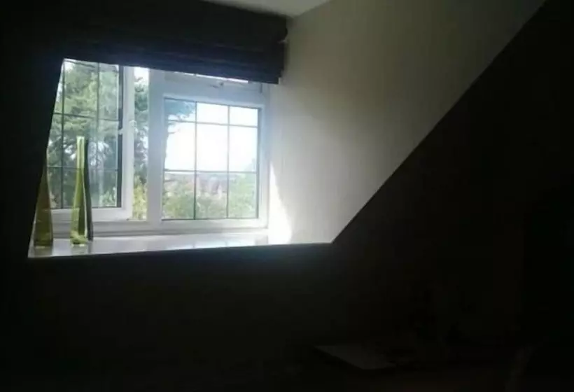 Bed & Breakfast Springfields