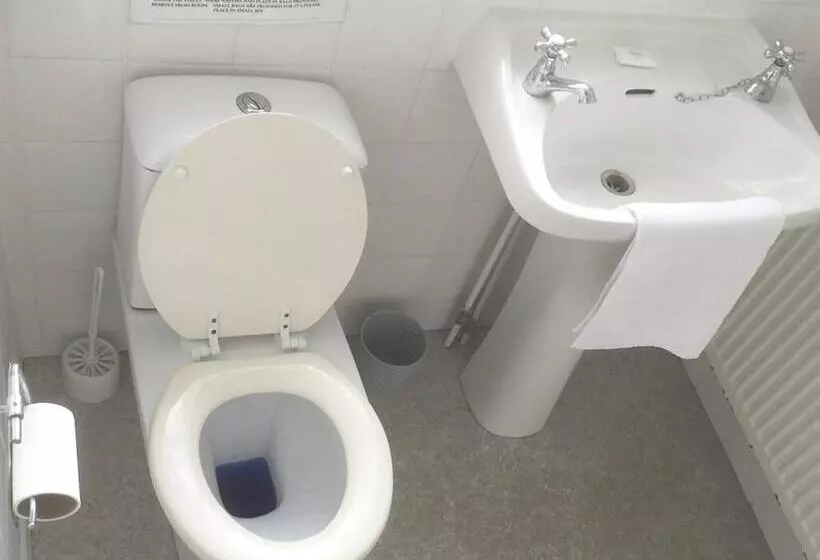 Bed and Breakfast The Beeches