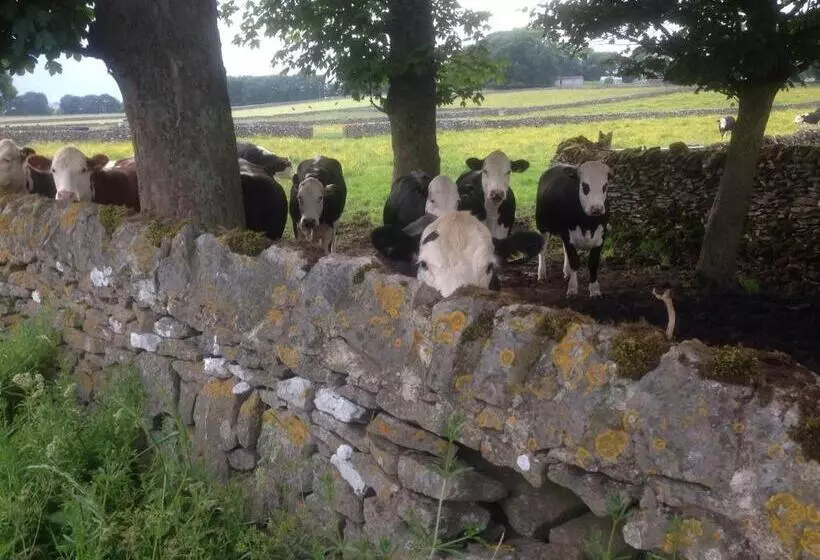 تختخواب و صبحانه The Queen Anne