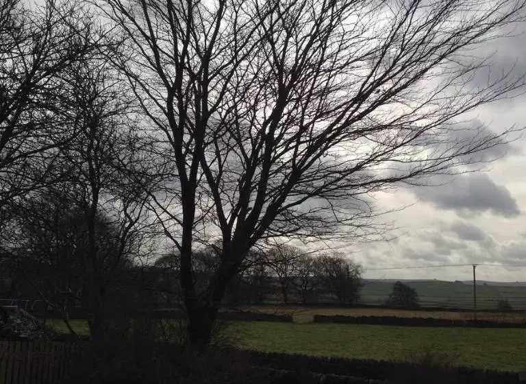 تختخواب و صبحانه The Queen Anne