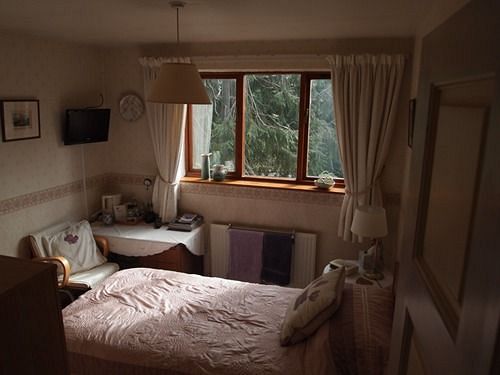 Bed and Breakfast Tree Garth