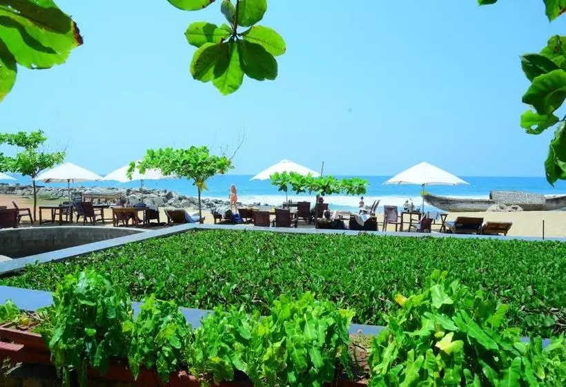 Hotel Palm Tree Heritage