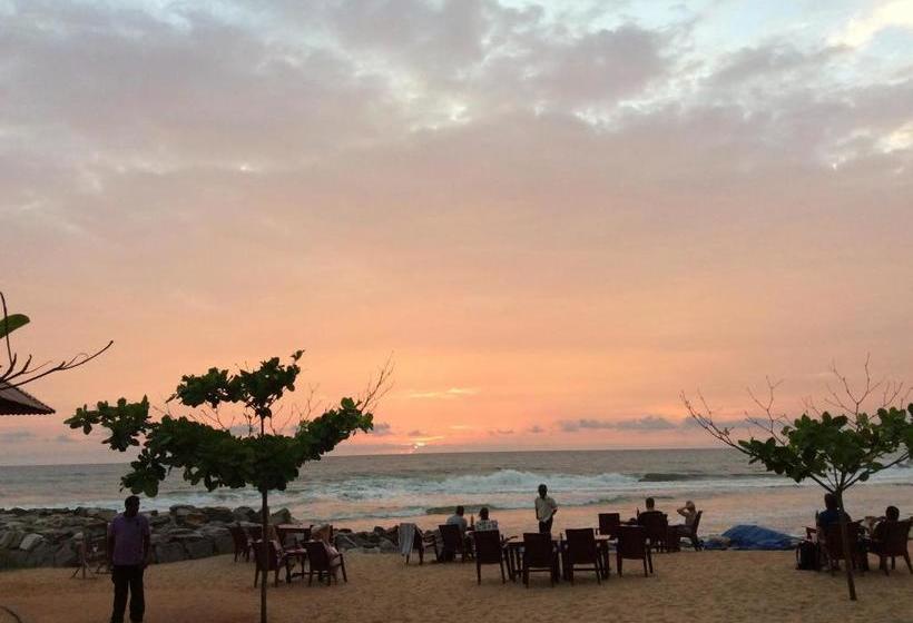 בית מלון כפרי Palm Tree Heritage