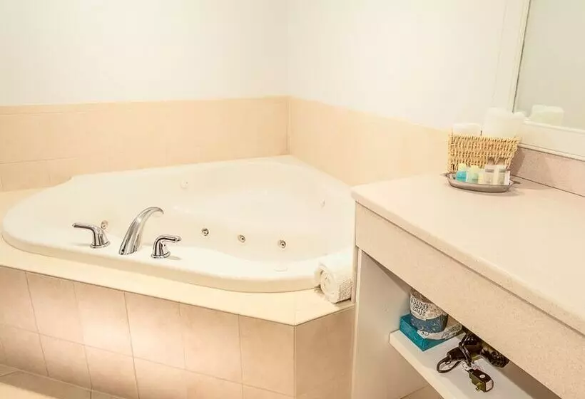 酒店 Selinsgrove Inn