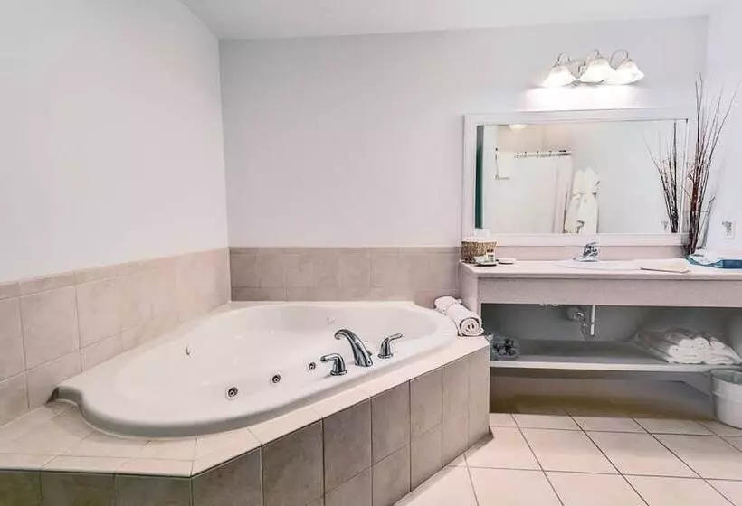 酒店 Selinsgrove Inn