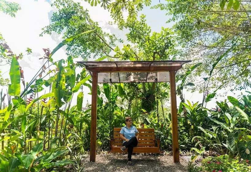 Отель Vista Del Cerro