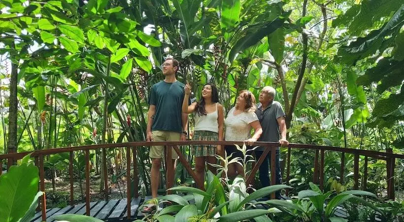 Отель Vista Del Cerro