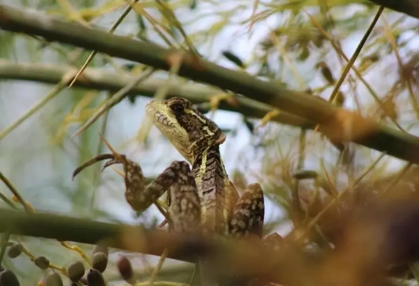Отель Vista Del Cerro