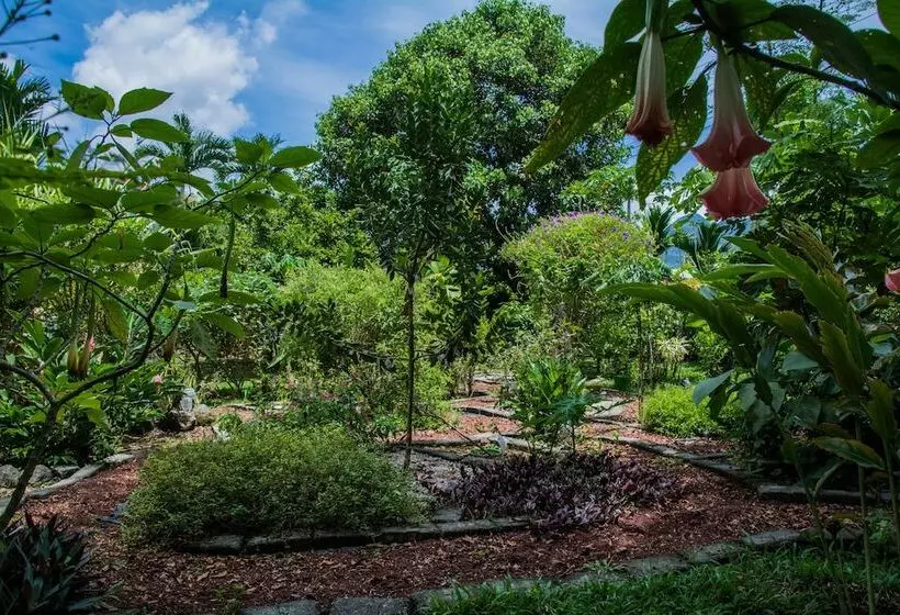 Отель Vista Del Cerro
