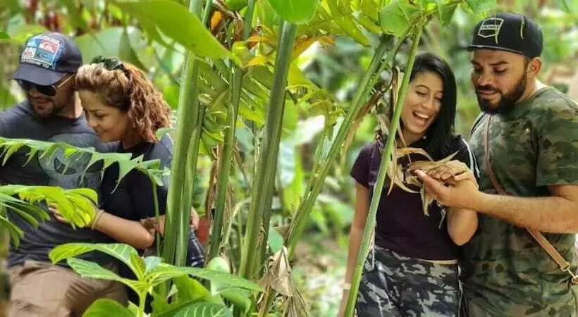 Отель Vista Del Cerro