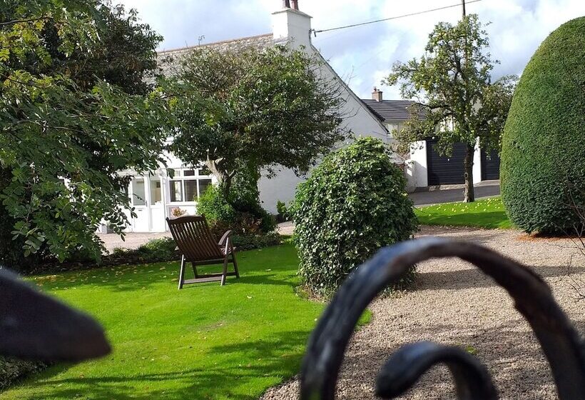 بنسيون The White House Guest House