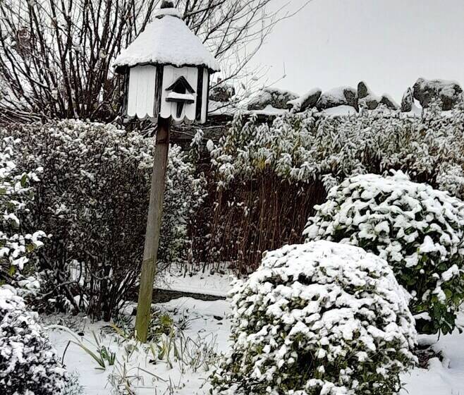 بنسيون The White House Guest House