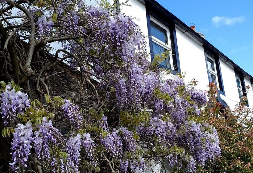 بنسيون The White House Guest House