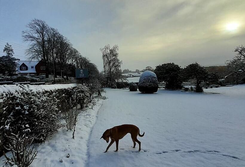 بنسيون The White House Guest House