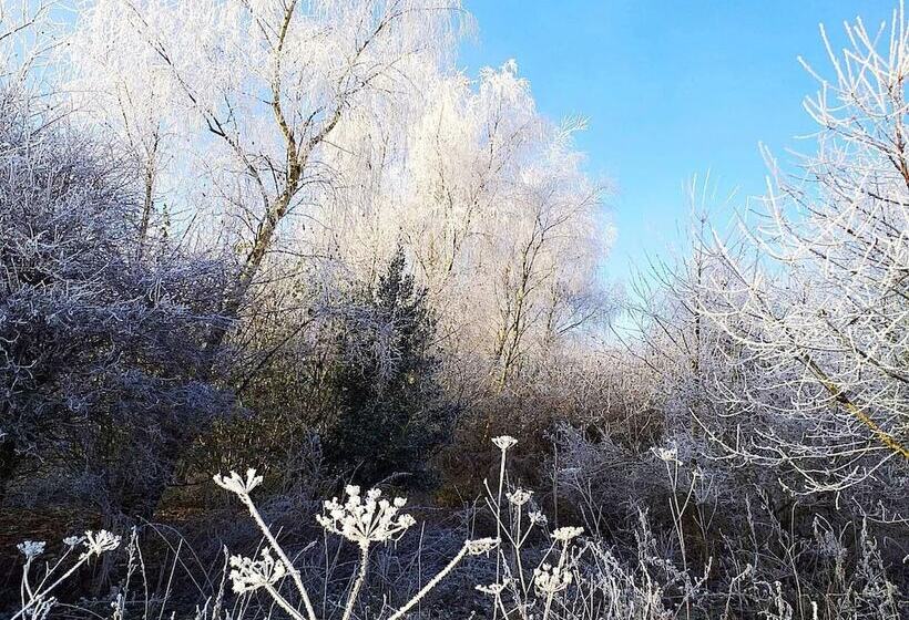 بنسيون The White House Guest House