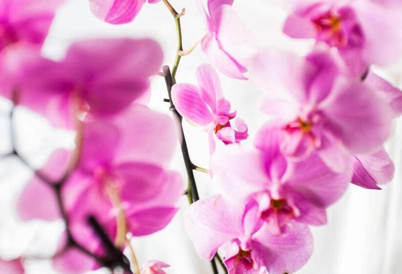 ベッドアンドブレックファースト City Rooms Szczecin