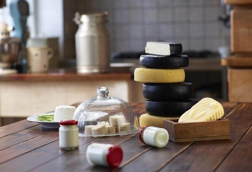 Bed and Breakfast Dom Gościnny Stara Szkoła