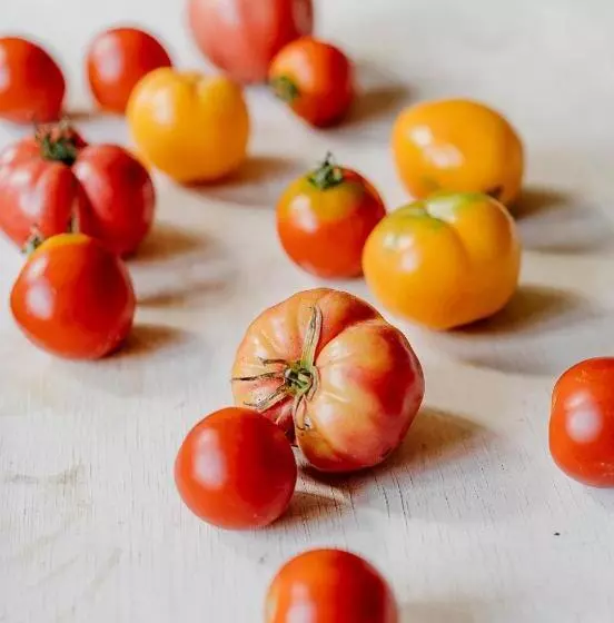 Aamiaismajoitus (B&B) Dom Gościnny Stara Szkoła
