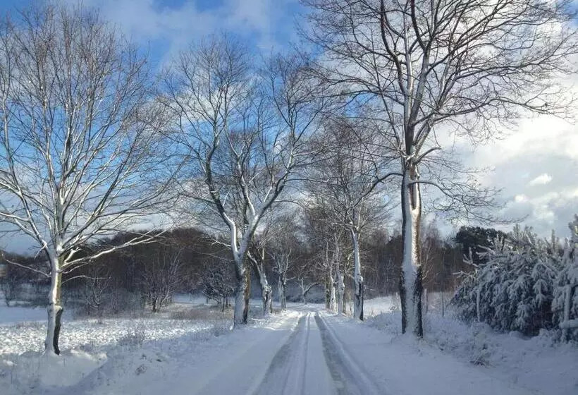 Aamiaismajoitus (B&B) Dom Gościnny Stara Szkoła