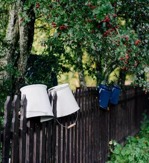 Aamiaismajoitus (B&B) Dom Gościnny Stara Szkoła