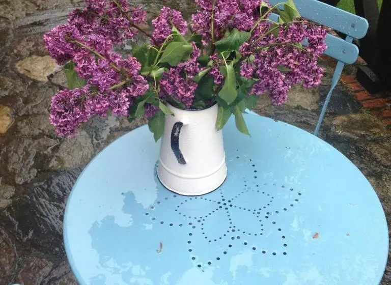 Aamiaismajoitus (B&B) Dom Gościnny Stara Szkoła