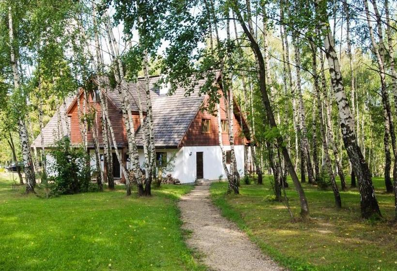 تختخواب و صبحانه Modryna   Modrzewiowy Dom